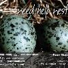 #48 Eggs - Custom

Offered as
Jumbo 8½” x 5½”
Regular 4” x 6”
and Panoramic 6” x 11”