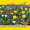 #124 Spring Forward Time Change
Regular 4" x 6" and
Jumbo 8½" x 5½"