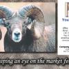 #9 Ram Custom

Offered as
Jumbo 8½” x 5½”
Regular 4” x 6”
and Panoramic 6” x 11”